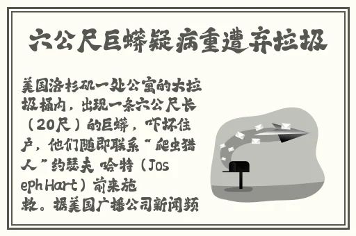 联姻对象11h镜片里